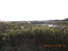 DSCN0822.JPG
