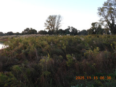 DSCN0826.JPG