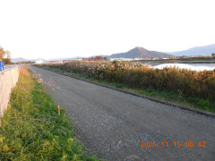 DSCN0828.JPG