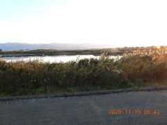 DSCN0829.JPG