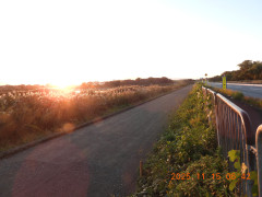 DSCN0830.JPG