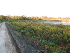 DSCN0831.JPG