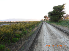 DSCN0833.JPG