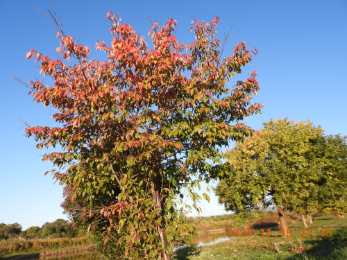 DSCN0846.JPG