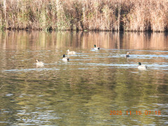 DSCN0848.JPG