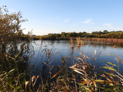 DSCN0850.JPG