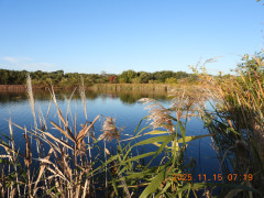 DSCN0851.JPG