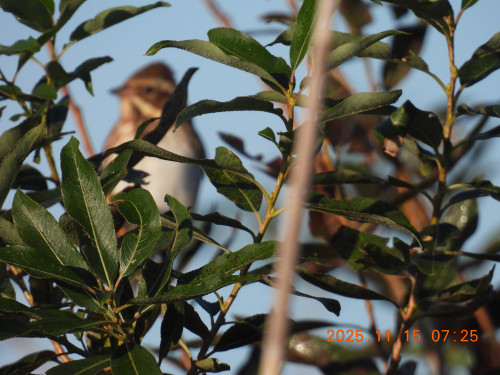 DSCN0853.JPG