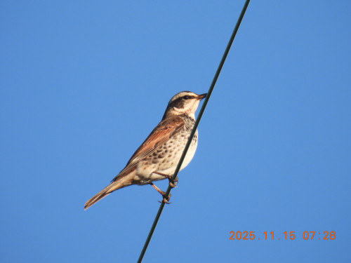 DSCN0858.JPG