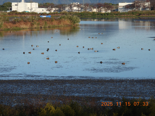 DSCN0861.JPG