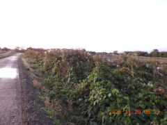 DSCN0865.JPG