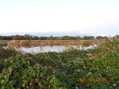 DSCN0866.JPG