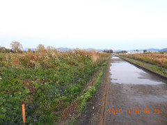 DSCN0867.JPG