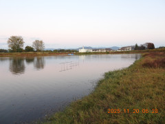 DSCN0871.JPG