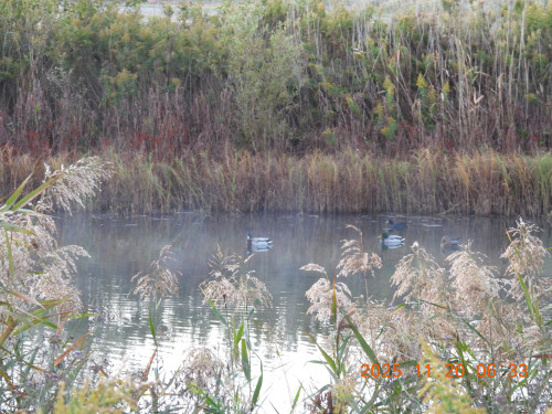 DSCN0874.JPG