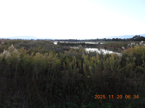 DSCN0876.JPG
