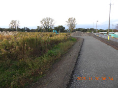 DSCN0877.JPG
