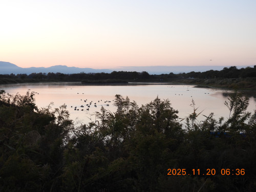 DSCN0879.JPG