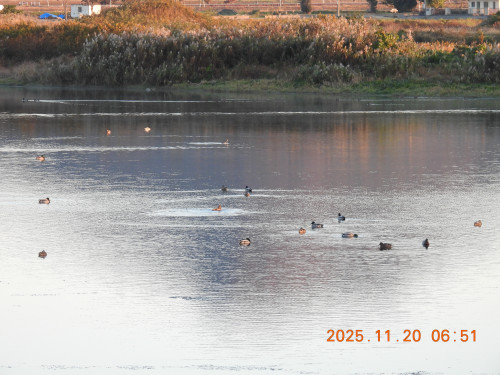 DSCN0892.JPG
