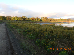 DSCN0896.JPG