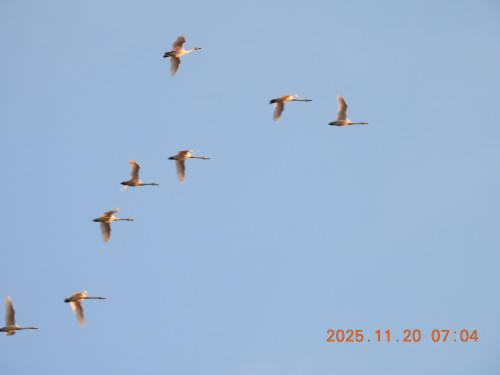 DSCN0900.JPG