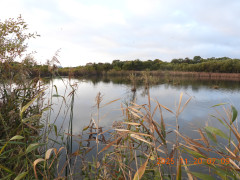 DSCN0904.JPG
