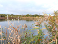 DSCN0905.JPG