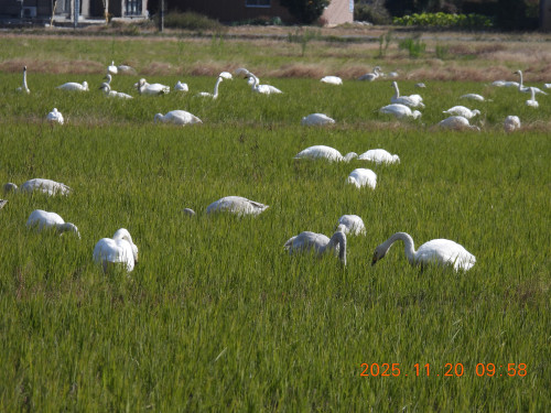 DSCN0918.JPG