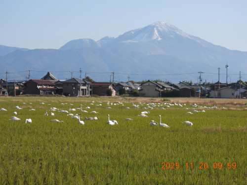 DSCN0920.JPG