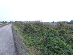 DSCN0930.JPG