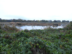 DSCN0931.JPG