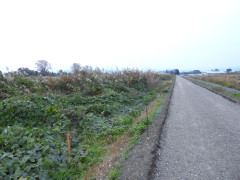 DSCN0932.JPG