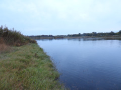 DSCN0933.JPG