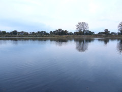 DSCN0934.JPG