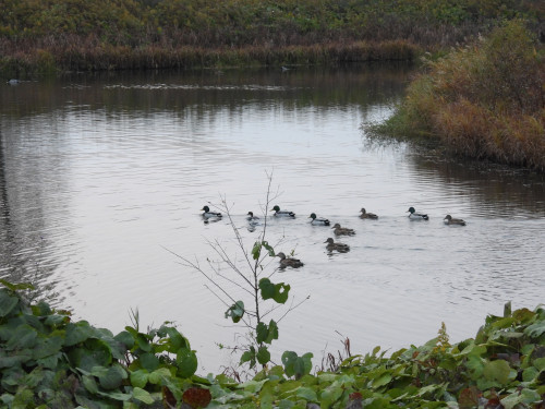 DSCN0939.JPG