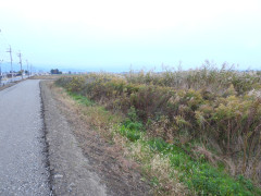 DSCN0941.JPG