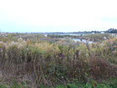 DSCN0942.JPG