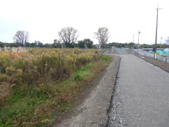 DSCN0943.JPG