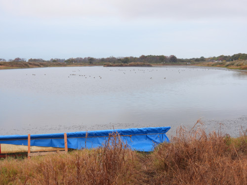 DSCN0946.JPG