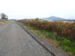 DSCN0947.JPG
