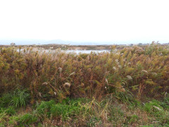 DSCN0948.JPG