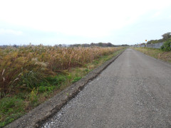 DSCN0949.JPG