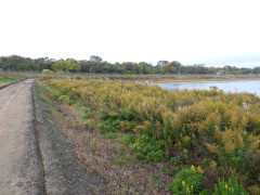 DSCN0952.JPG