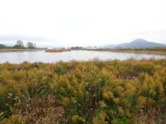DSCN0953.JPG