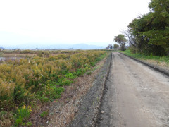 DSCN0954.JPG