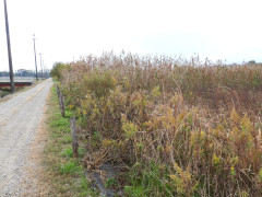 DSCN0955.JPG