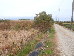 DSCN0957.JPG