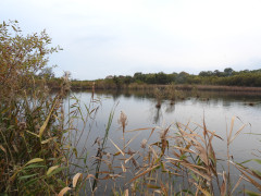 DSCN0960.JPG