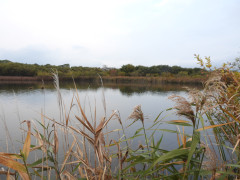 DSCN0961.JPG