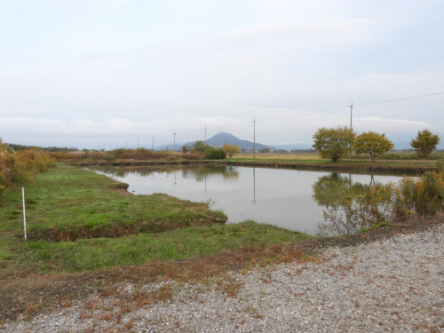 DSCN0966.JPG